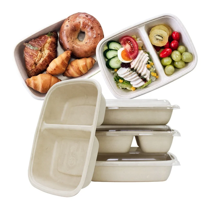 25 oz rectangular eco-friendly biodegradable food takeaway boxes
