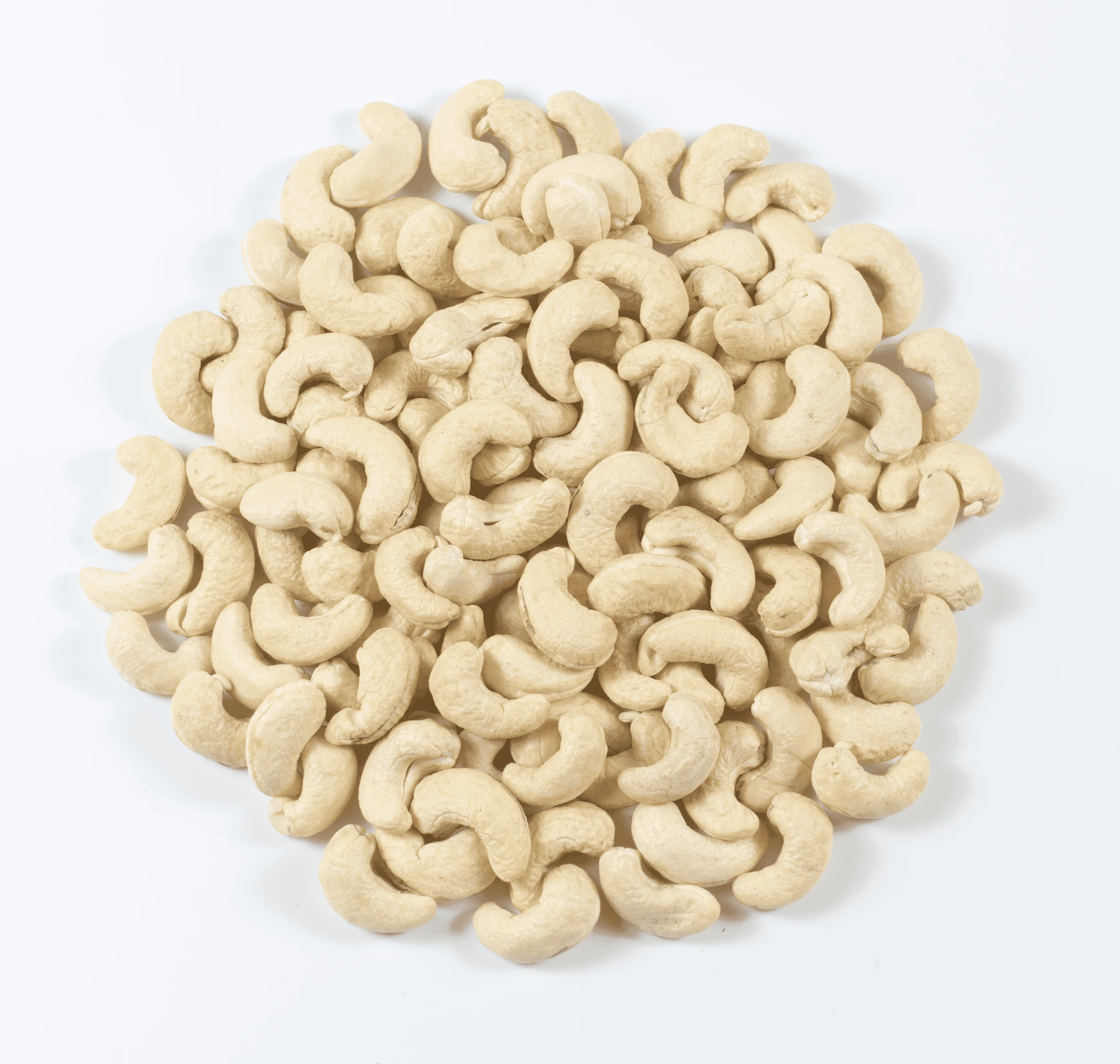 Exquisite W320 Grade White Cashews from Vietnam Dried and Healthy Taste the Goodness of Cashew Nut
