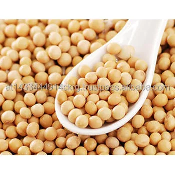 Canada Wholesale Dried Yellow Soybean Soya Seeds