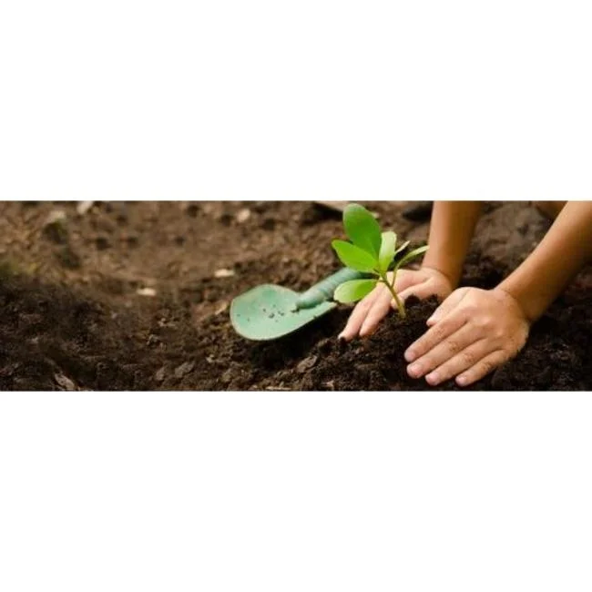 High Quality Performance Buffered Coir Peat 5kg Blocks Eco-Friendly 4732 Blocks in 22 Pallets for Garden Decoration Horticulture