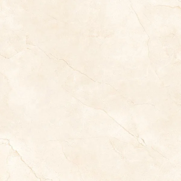 Foshan High Quality 600x600mm Albedo Saturio Gray Modern Polished Porcelain Floor Tiles Supplier From India 60x60/24x24