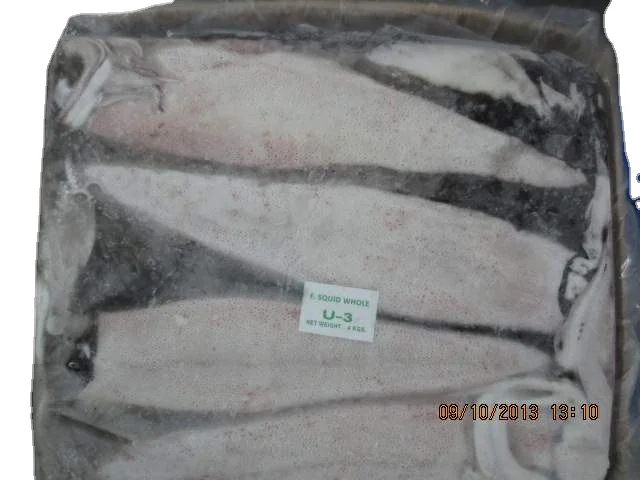 Замороженный кальмар lолиго оптовая продажа высокое качество с высоким минимальным заказом экспорт индийских морепродуктов