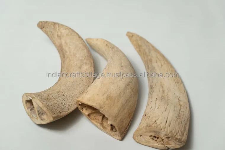 New Arrival Natural Buffalo Horn Core For Dog, Dog Chews Toys Horn Core for aggressive chewers