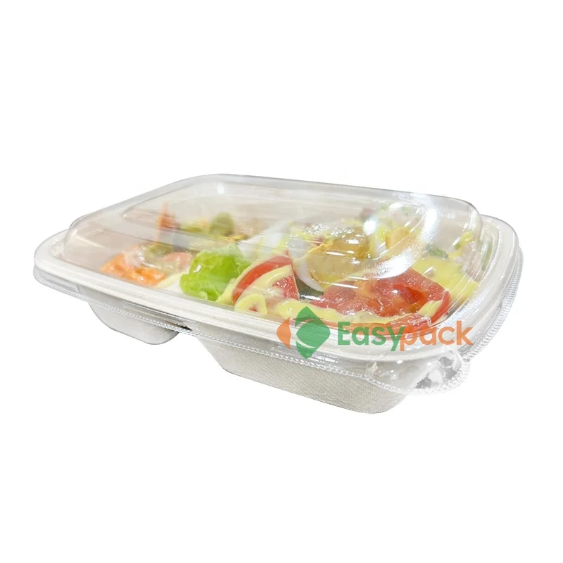 1000ml rectangular biodegradable disposable food container custom printed lid