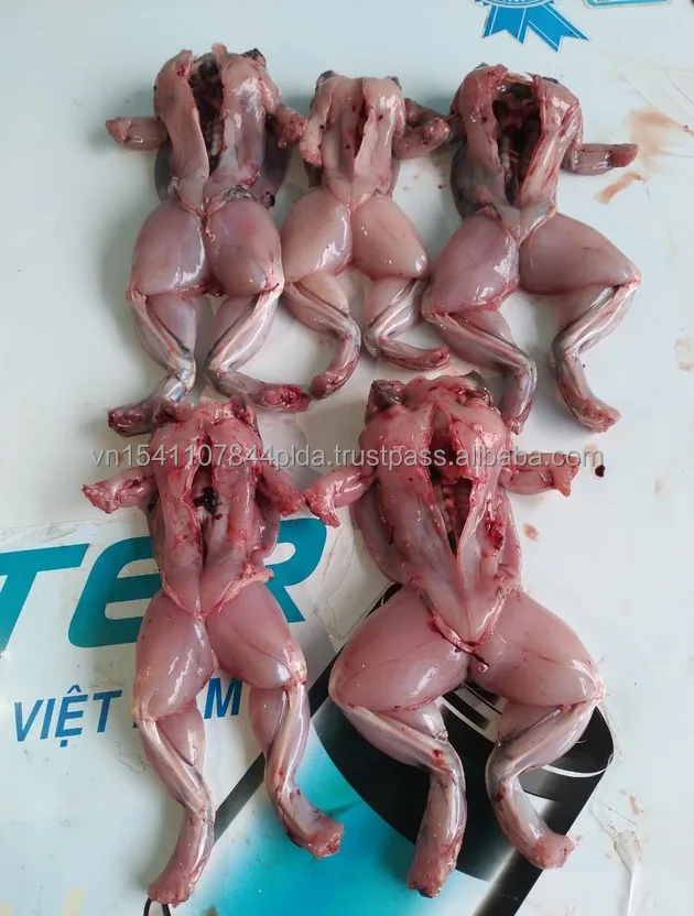 Поднятые органические ножки лягушки с йогой стиль осанки