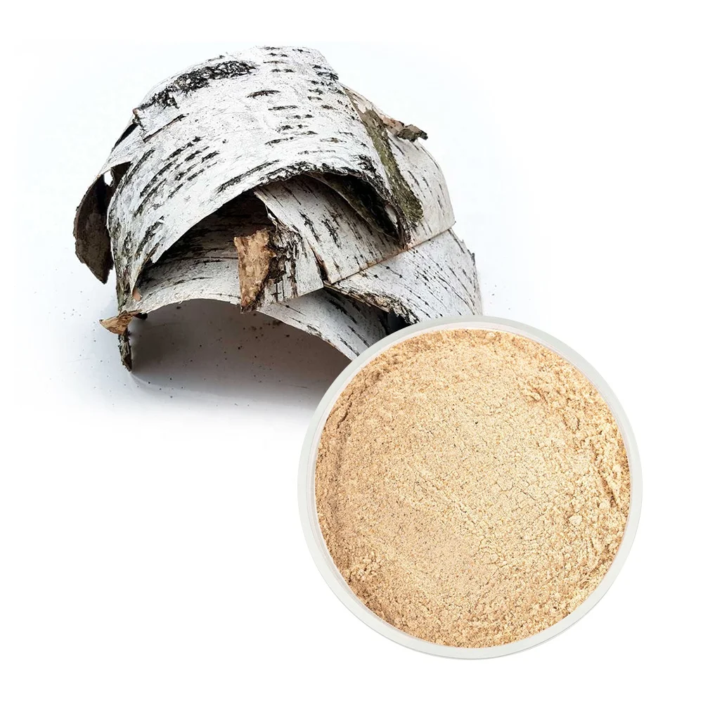 BIRCH BARK EXTRACT (BETULINOL POWER)/ herbal tea herbal coffee water soluble extract of birch bark betulin for health food