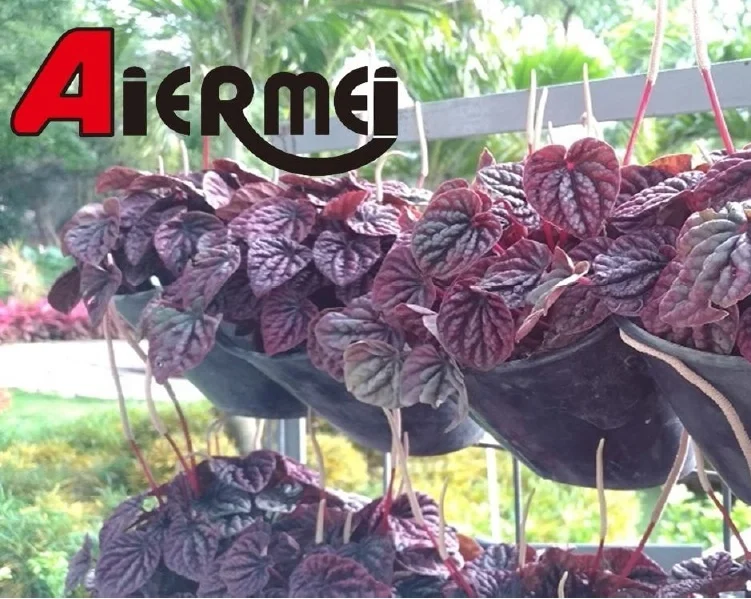 Вертикальные зеленые настенные садовые украшения для растений пластиковые цветочные горшки