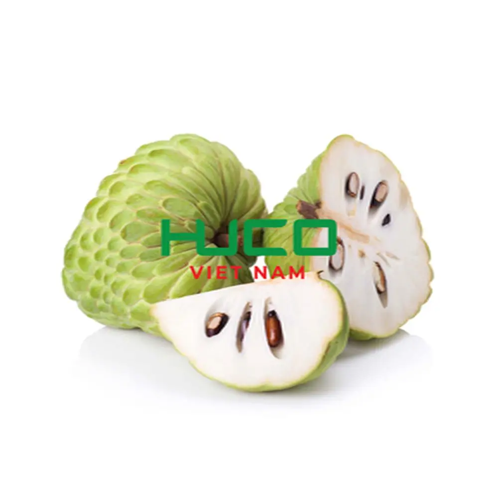 Hot sales Cheap Price Fresh Custard Apple Fruit from Vietnam