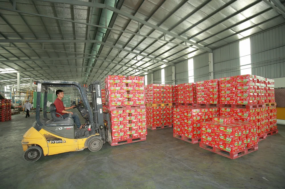 PREMIUM BEER FROM VIETNAM CHEETAH BEER HIGH CLASS BEER