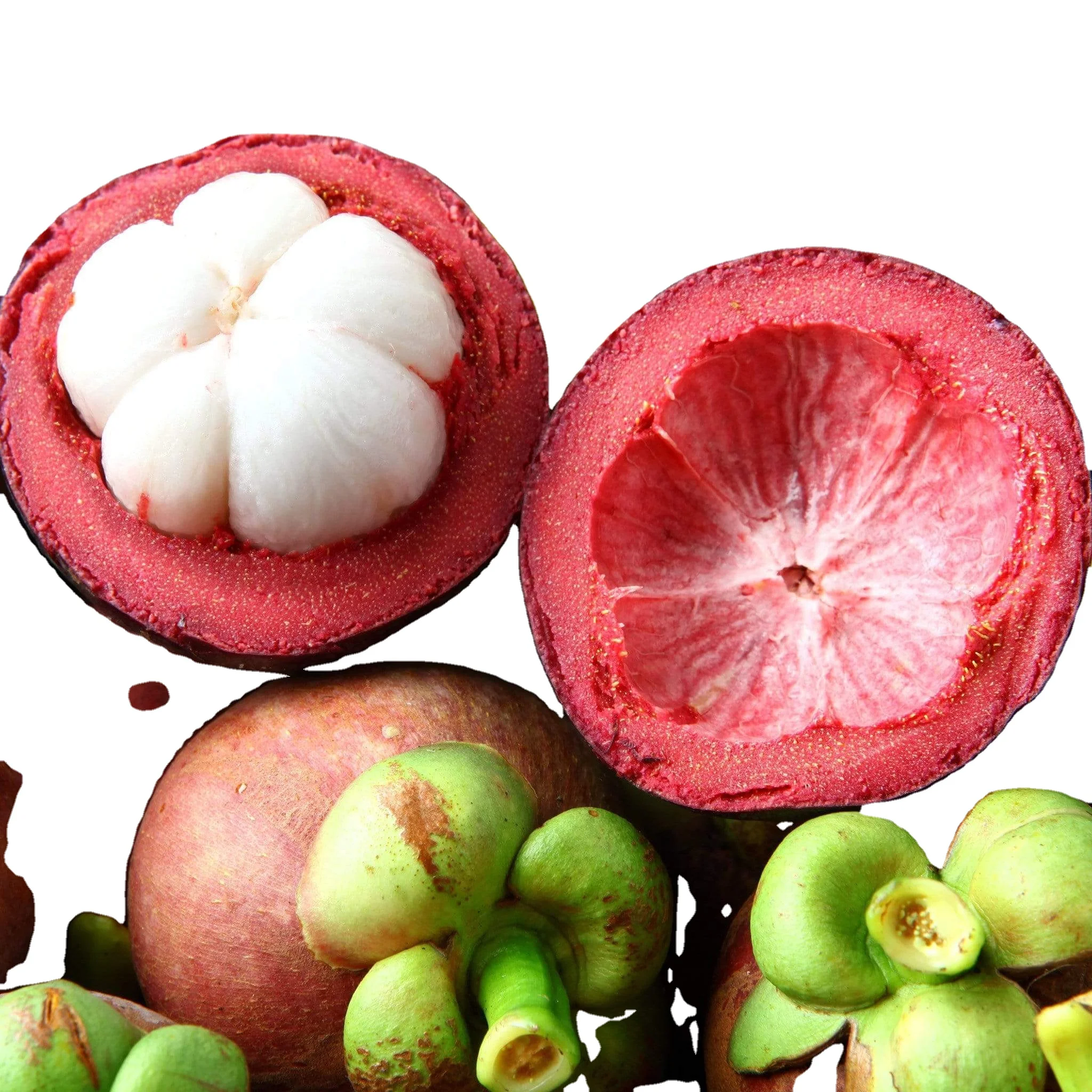 High Quality from Vietnam Sweet Taste Natural Tropical Fresh Mangosteen Fruit/ MS KATHY +84 896650714