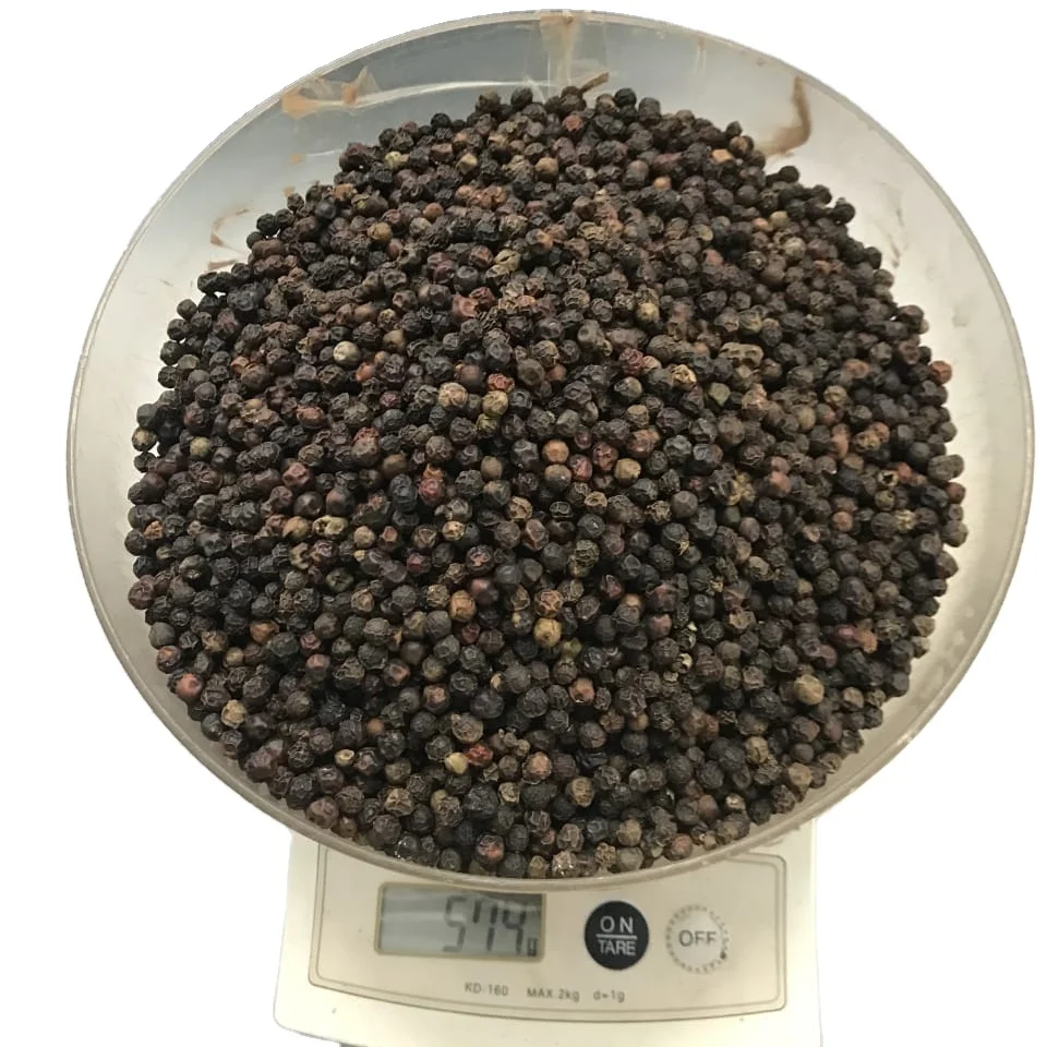 Vietnam Black Pepper 550gl MC Machine Clean FACTORY PRICE VIETNAM BLACK PEPPER HOT SPICY BULK BLACK PEPPER CORN FOR EXPORTING