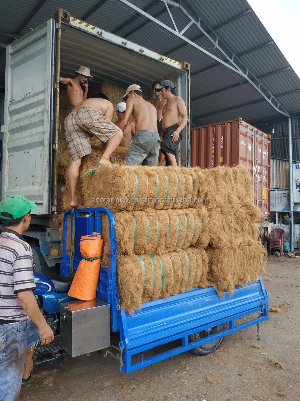 Premium quality bulk quantity coco coir coconut fiber husk bales cheapest prices origin in Vietnam