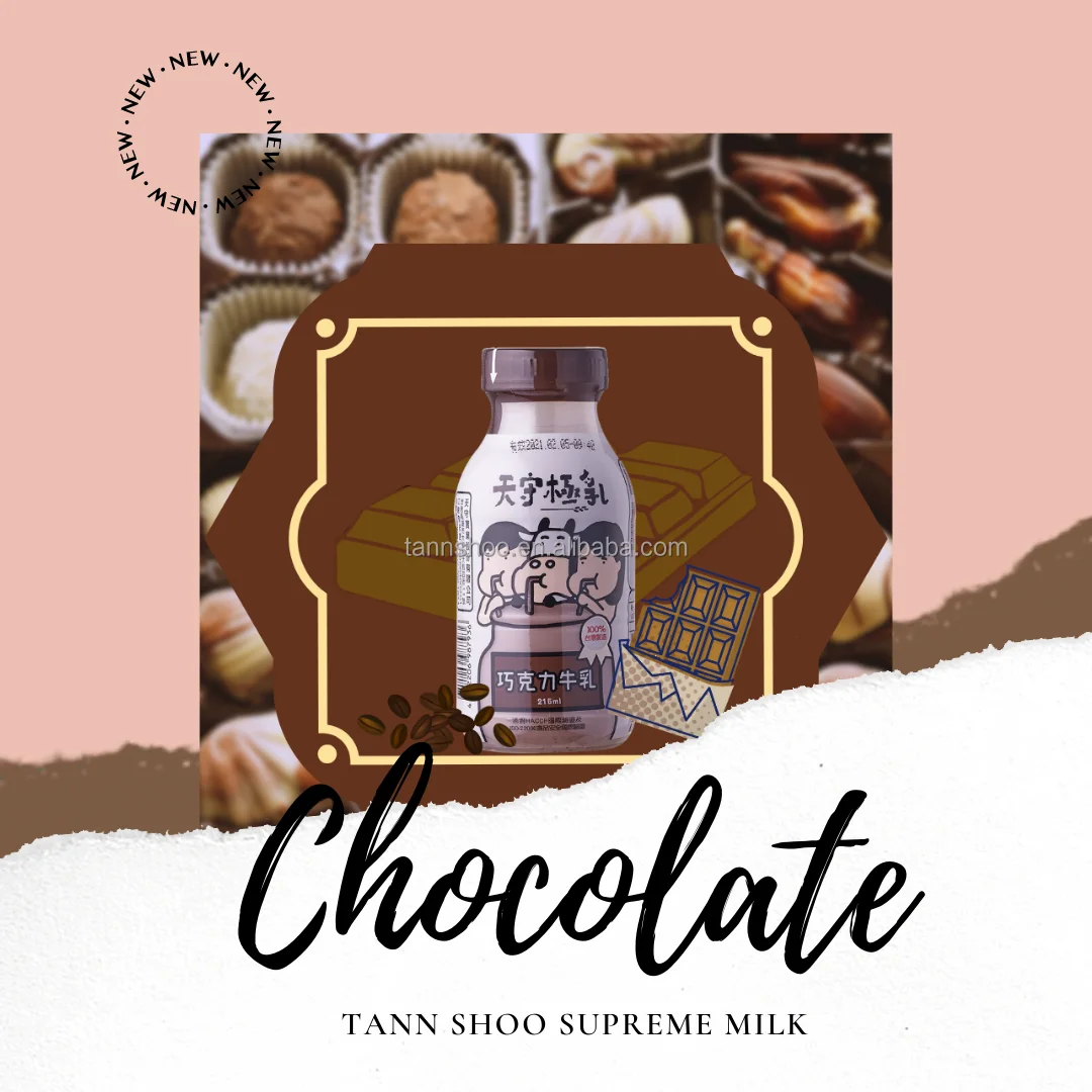 Factory direct sale chocolate milk bottled adults dessert milk