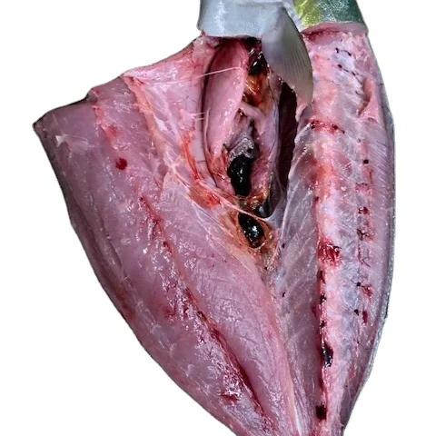 Замороженный желтый хвост (quinquadiata) Блок премиум качества индийский экспорт BQF индийская поставка рыбы