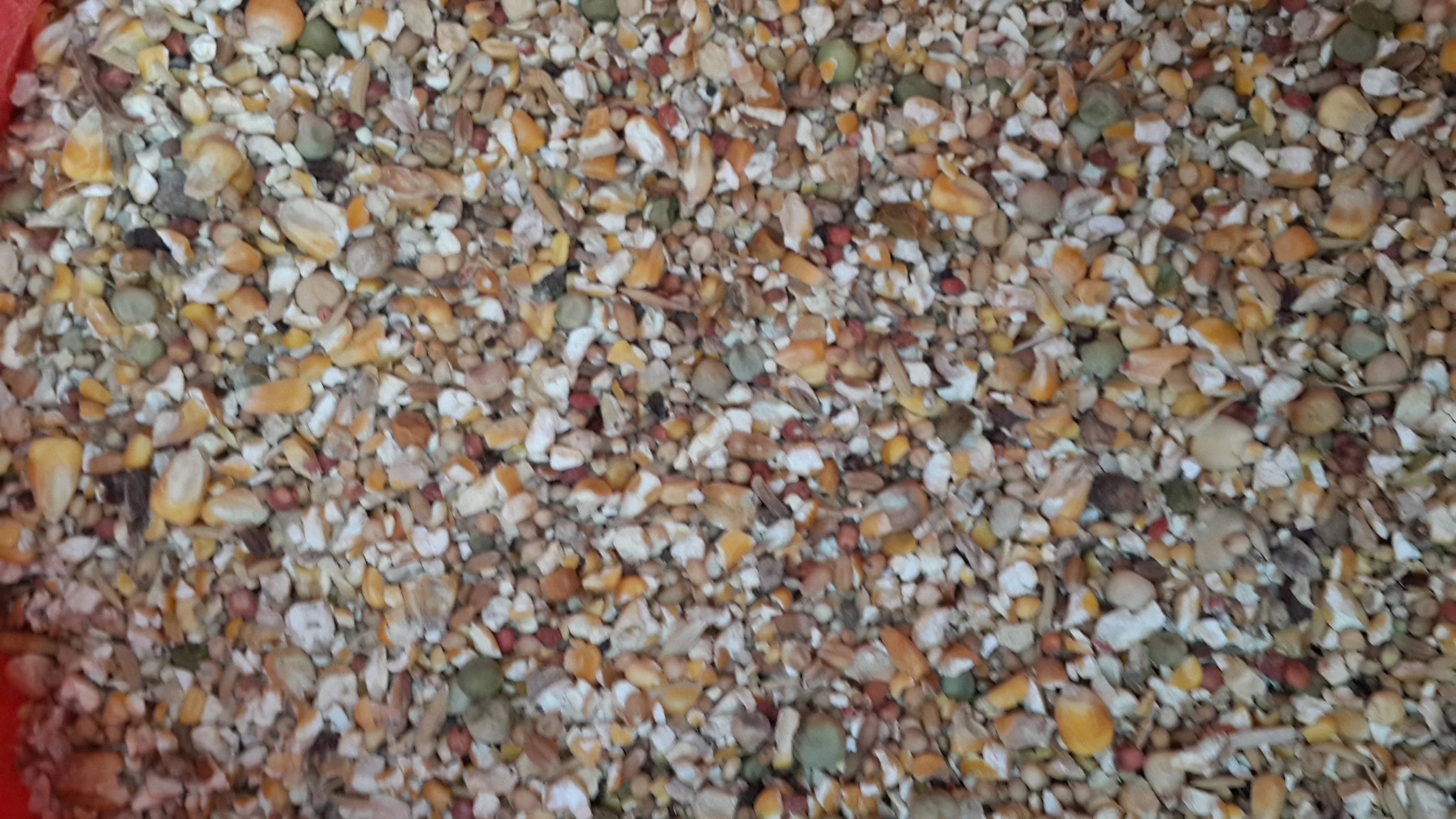 High Quality Mix Bird Feed For Sale
