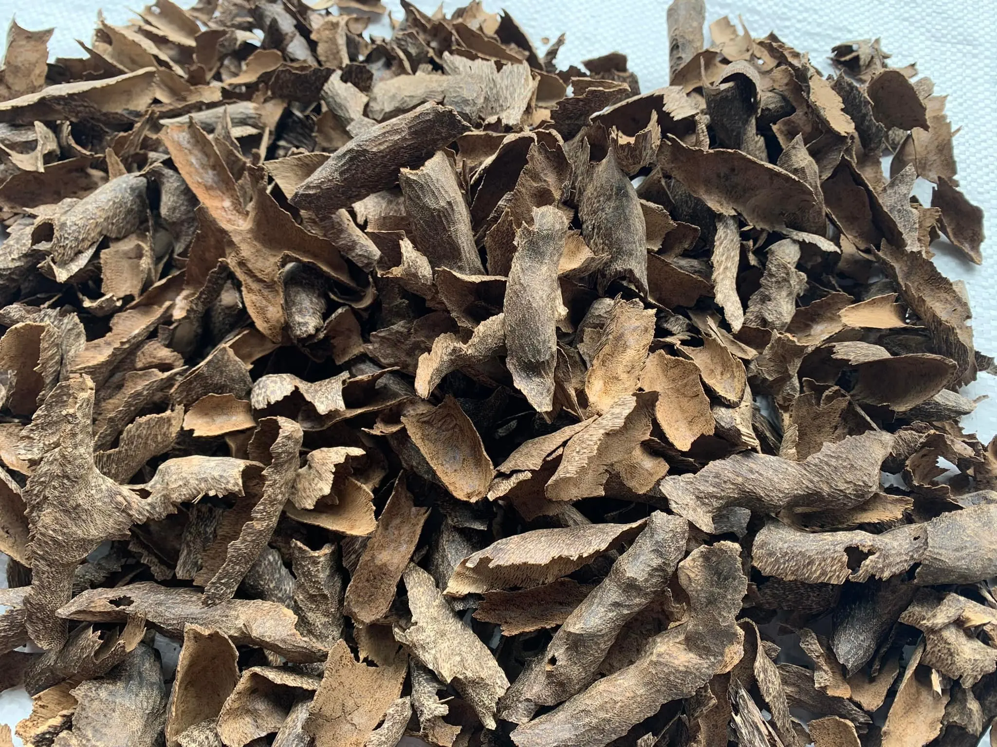 Natural Premium Organic Agarwood Chips Super Grade Aloeswood Eaglewood Gharuwood Chunks  Oudh Incense Fragrance Sweet Full Oil