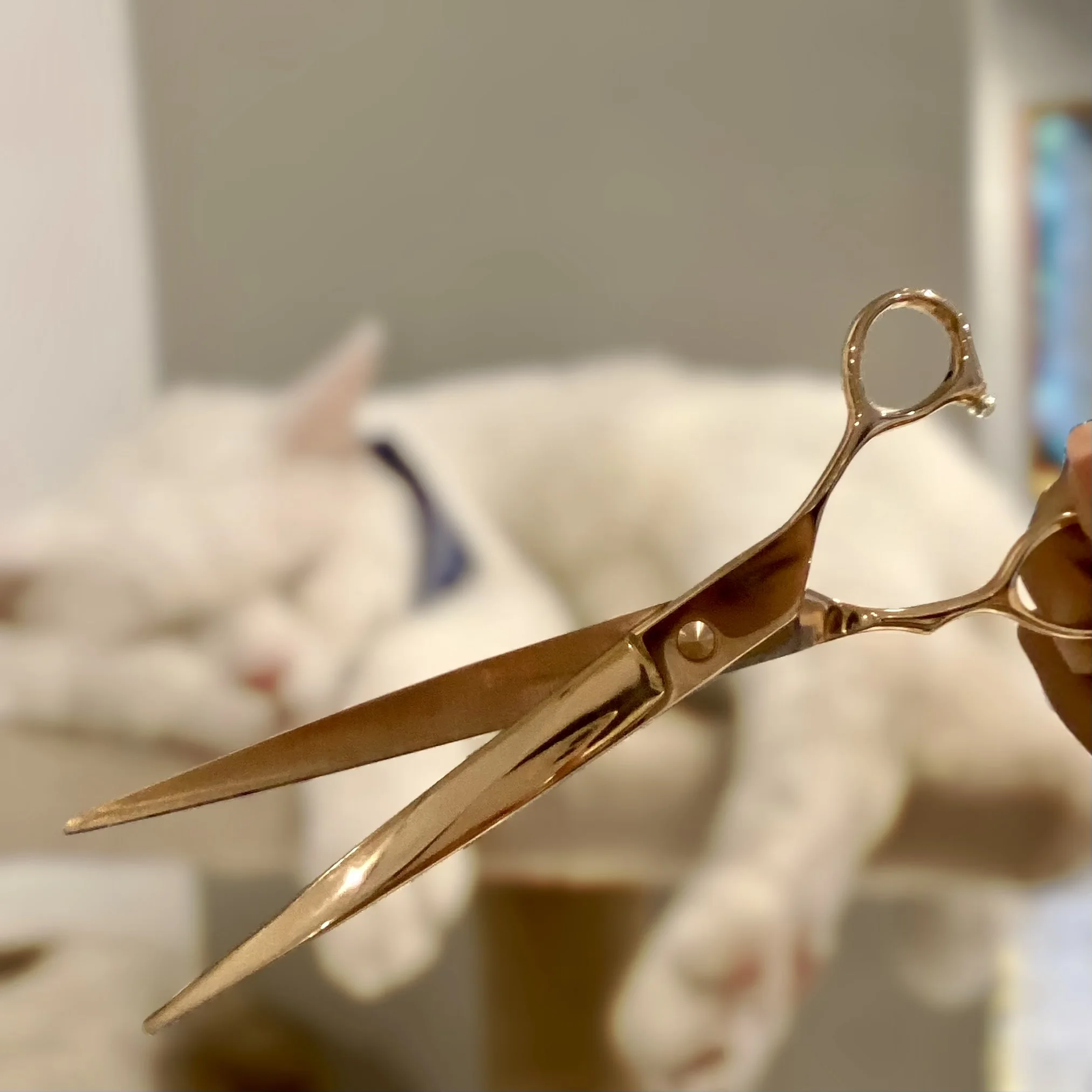 Ножницы для домашних животных 8 дюймов