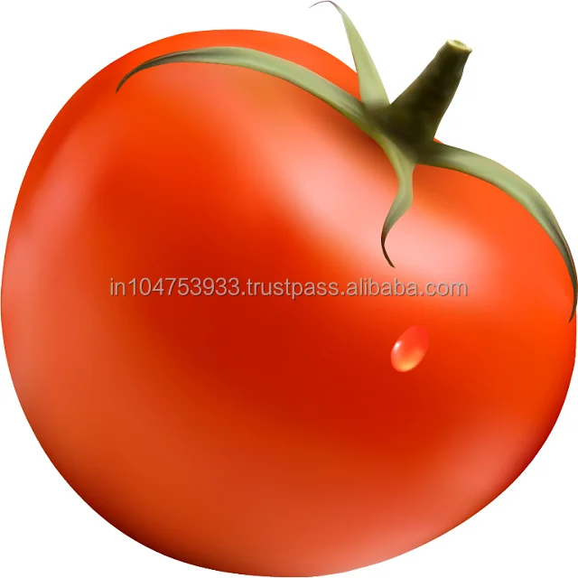 Помидор-еда овощей помидор богатый тело