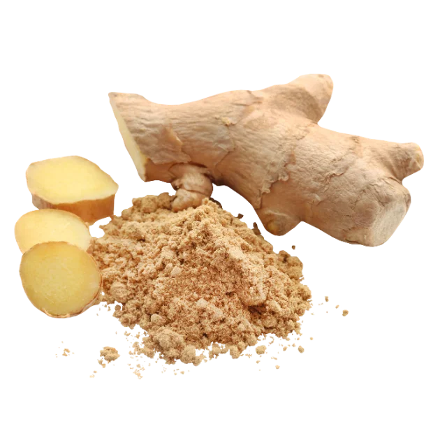 High Quality with Best Price - GINGER from Vietnam - Use Seasoning and spices
