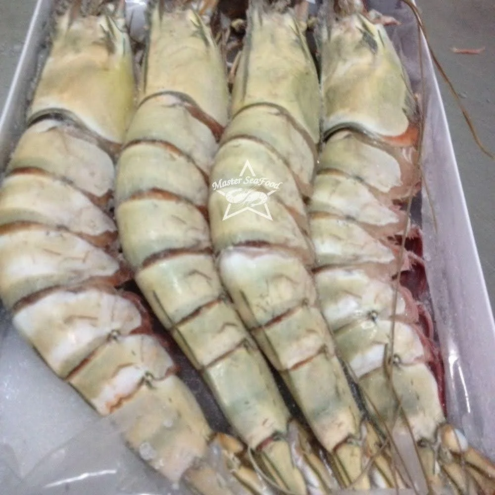 Ocean Tiger Shrimps Semi-IQF Head On Shell On Net Weight Net Count Custom Packing Best Quality Size U4 U5 U6 U8 U10 U12 U15 U20