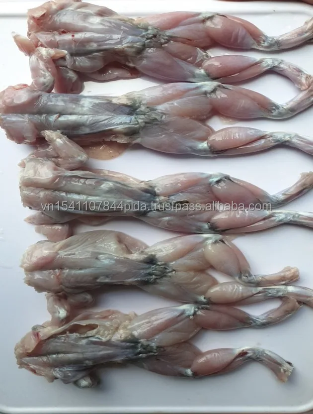 Поднятые органические ножки лягушки с йогой стиль осанки