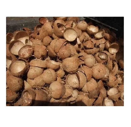 Raw Coconut With Best Quality/Cheap Raw Coconut Shells for making charcoal from Vietnam