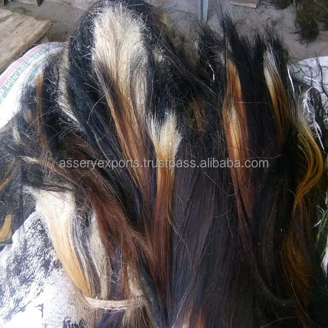 Оптовая продажа с завода натуральные волосы из коровы и буйвола хвостом типа ox Поставщик натуральных волос по низкой цене индийский вьетнамский необработанный