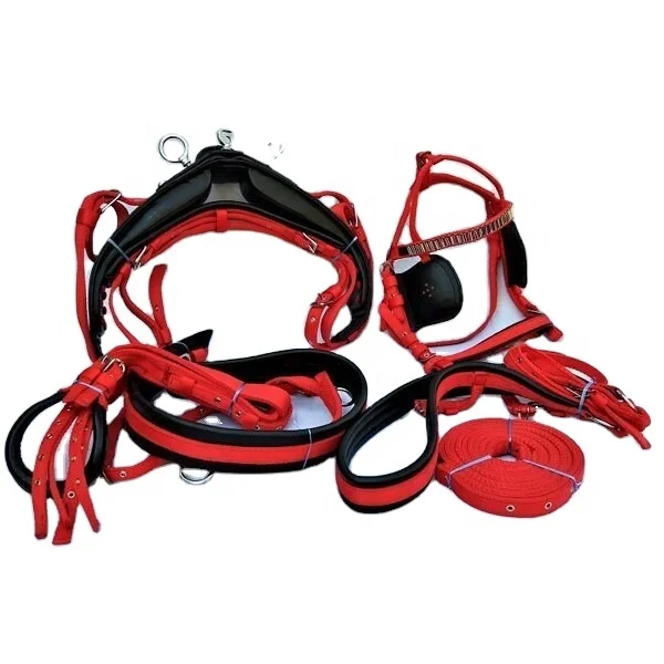 Horse nylon breeching style harness set Manufacturer Equine NYLON HORSE DRIVING HARNESS FULL adjustable Riding House Kanpur