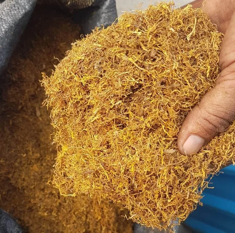 Indian Golden taro leaves Bulk Factory supply Indian Suppliers Long cut herbal cut rag Bulk Australia approved herb best price