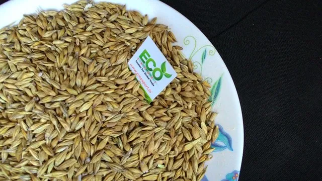 Качественное Ячменное Зерно