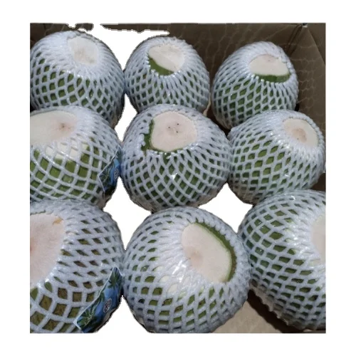 High Quality Fresh Young Green Coconut Volume 250 to 300 ml Per piece export standard from Vietnam 2023