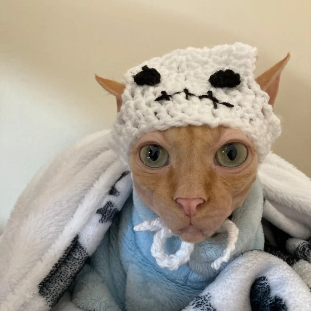 Pet Christmas Hat Cat Dog Cute Head Costume Dog Cartoon Hat  made in Viet Nam HOANG LINH SG Kimy +84938616690