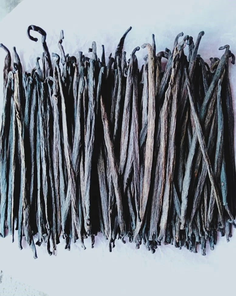 RENDAH TAHITENSIS GRADE-3 14-15.9 CM VANILLA BEANS for EXTRACTION Hot Selling Indonesian Papua Best Quality with Best Price