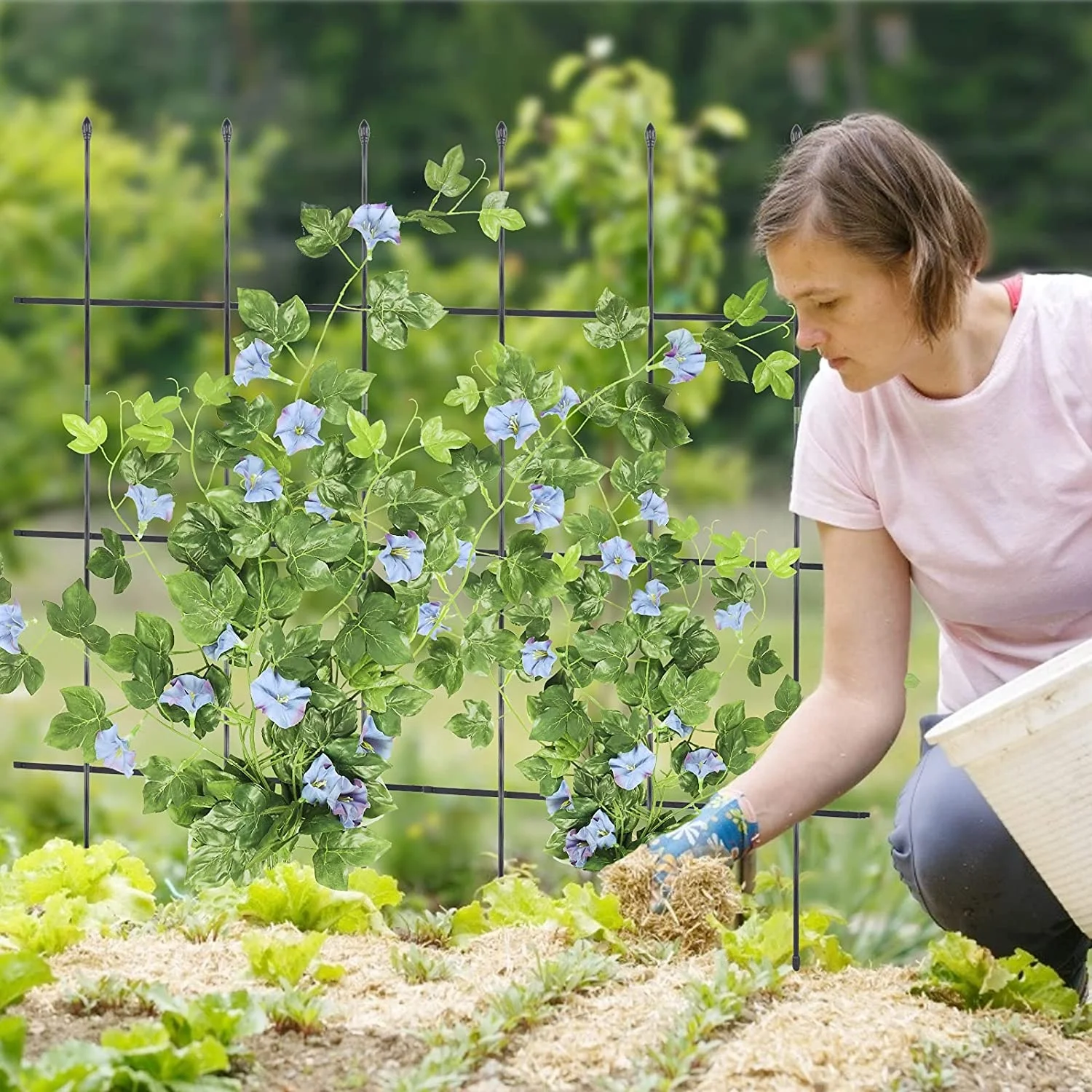 Multi-function Plant Support Cage