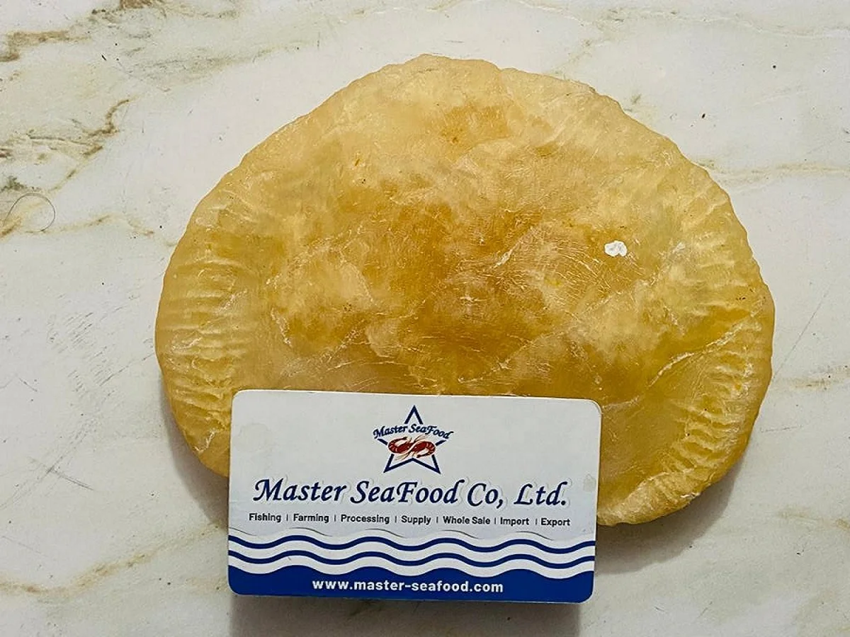 Premium Quality Cat Fish Maw Wholesale Organic Catfish Maw Big Size 50-250gm Dried Fish Maw in Bulk From Bangladesh