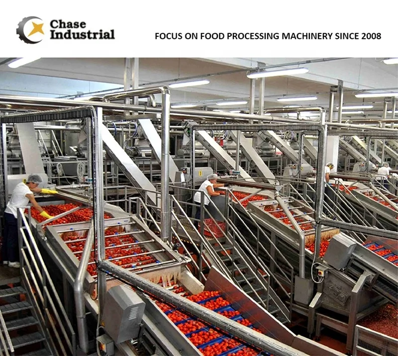 Tomato Paste Sauce Ketchup Production Concentrated  Making Processing Plant