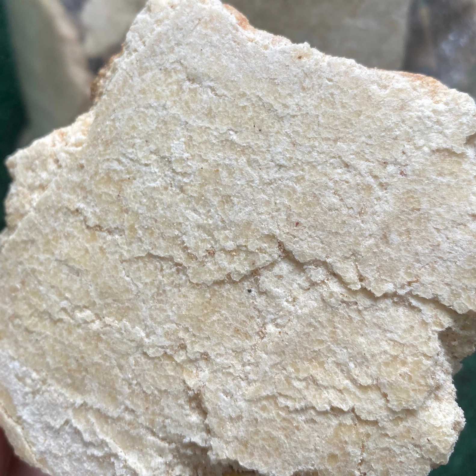 COPRA CAKE - COCONUT CAKE - VIETNAM ANIMAL FEED