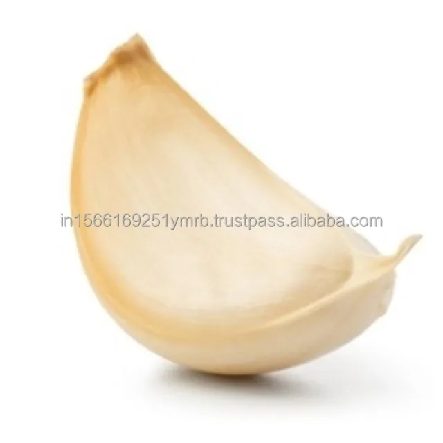 Factory Wholesale Price Fresh Purple White Supplier Export Good Quality Garlic