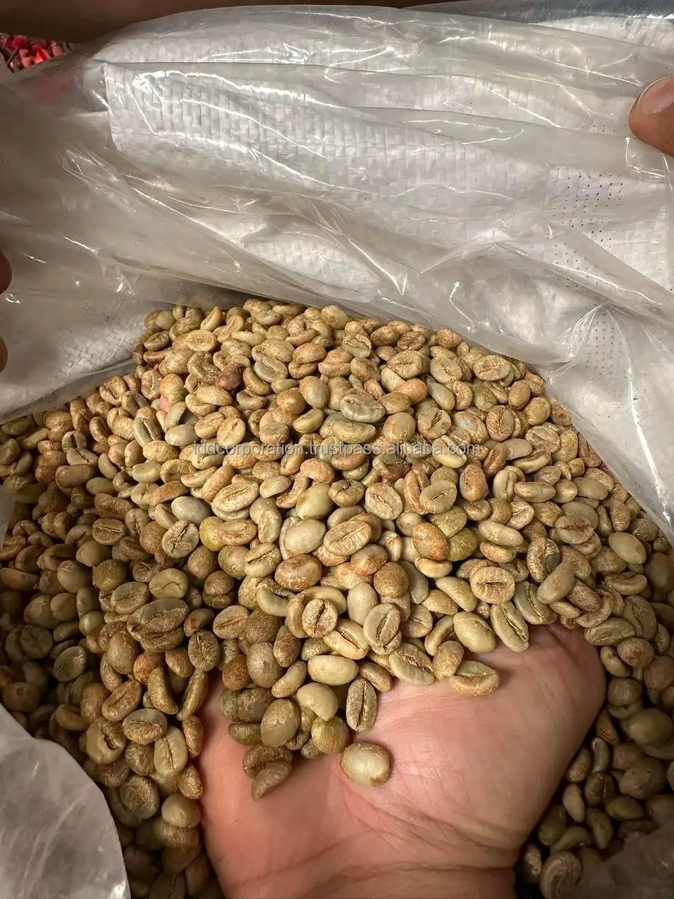 Хит продаж новый урожай зеленый зерновой кофе Robusta/Арабика цельные бобы высокое качество жареный Лучшая цена