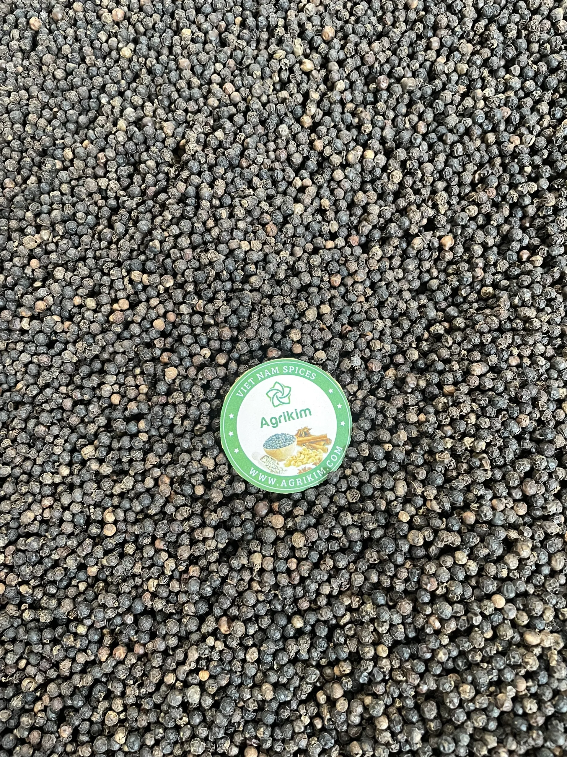 PREMIUM BLACK PEPPER 500, 550, 570, 580G/L GREAT FLAVOR BLACK PEPPER FOR GLOBAL MARKET