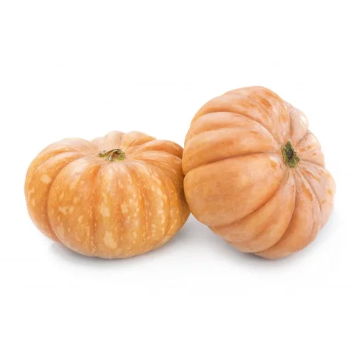 Best Quality Fresh Pumpkins for sale at wholesale prices.