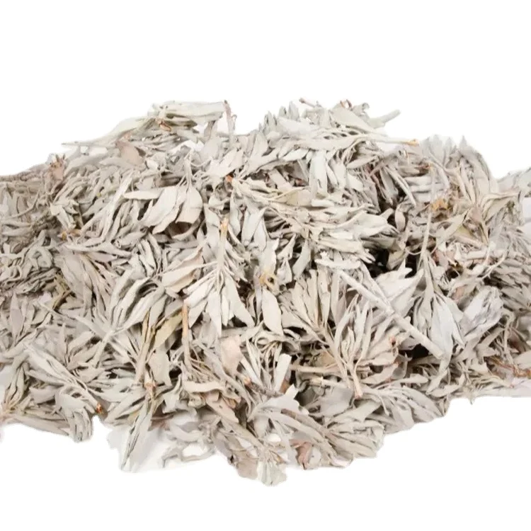 Newly Arrived Home Fragrance California White Sage Clusters - Salvia Apiana Dried Cluster in Bulk Packaging