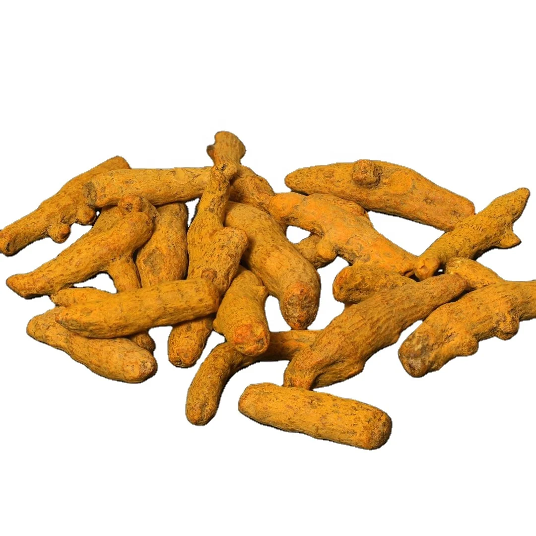 Customized OEM Natural Single Spice Herb Whole Tumeric Wholesale Bulk Quantity Whole Tumeric Exporter From India