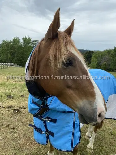 Quality 1200DN Summer Horse Rug Lightweight Turnout Crossover Combo with Polyester and Cotton Filling Ripstop Shell