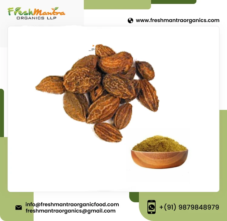 Organic Terminalia Chebula Haritaki Powder Ayurvedic Medicine aids in Digestion wholesale supply from India