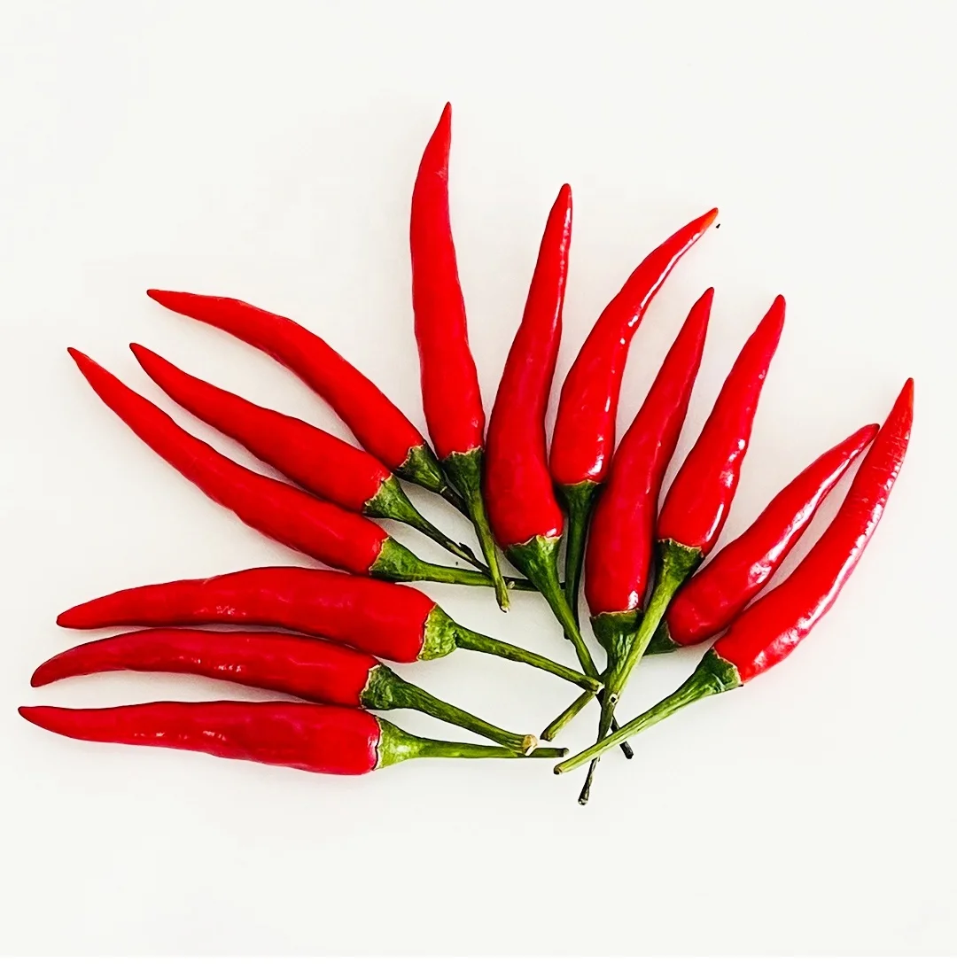 Hot Fresh/ Frozen Chili Vietnam - Red Spicy Fresh Chili - High quality chili at wholesale price