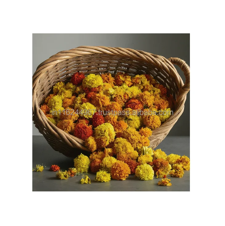 Ornamental Plants Artisan Dried Marigold Flower Collection Adding Charm to Any Space for Worldwide Supply from India