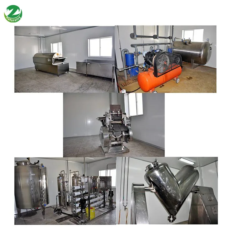 Factory Supply Nutritional Supplements glucosamine chondroitin organic MSM powder methyl sulfonyl methane