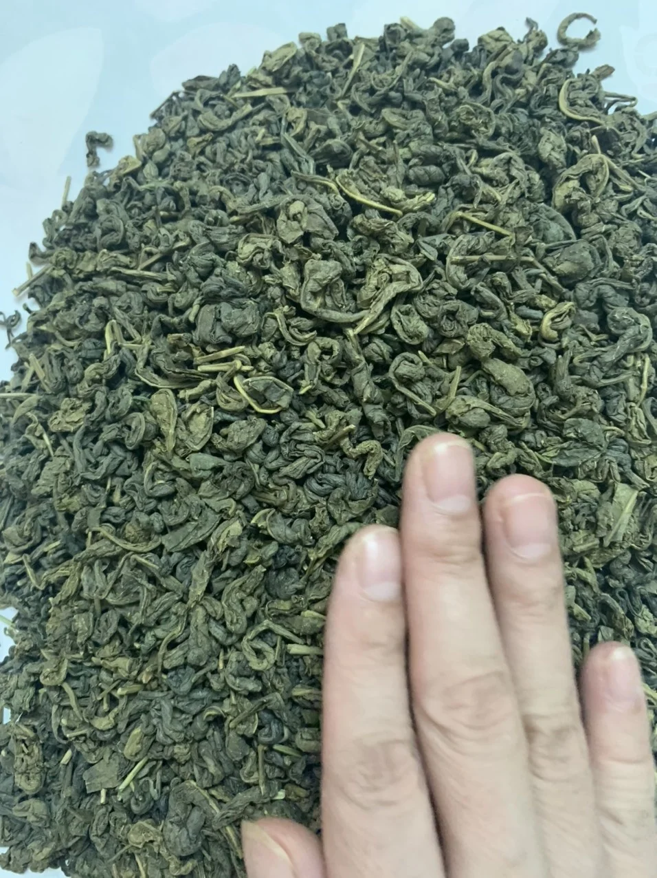 Высококачественный зеленый чай Yen Bai Pekoe высококачественный органический со вкусом зеленого чая 100% от Natural