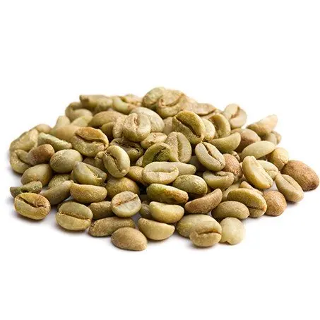Вьетнамская зеленая фасоль ROBUSTA ARABICA кофе Лучшая цена Хорошее качество S16 S18 чистый сорт 1 упакован в мешок 60 кг